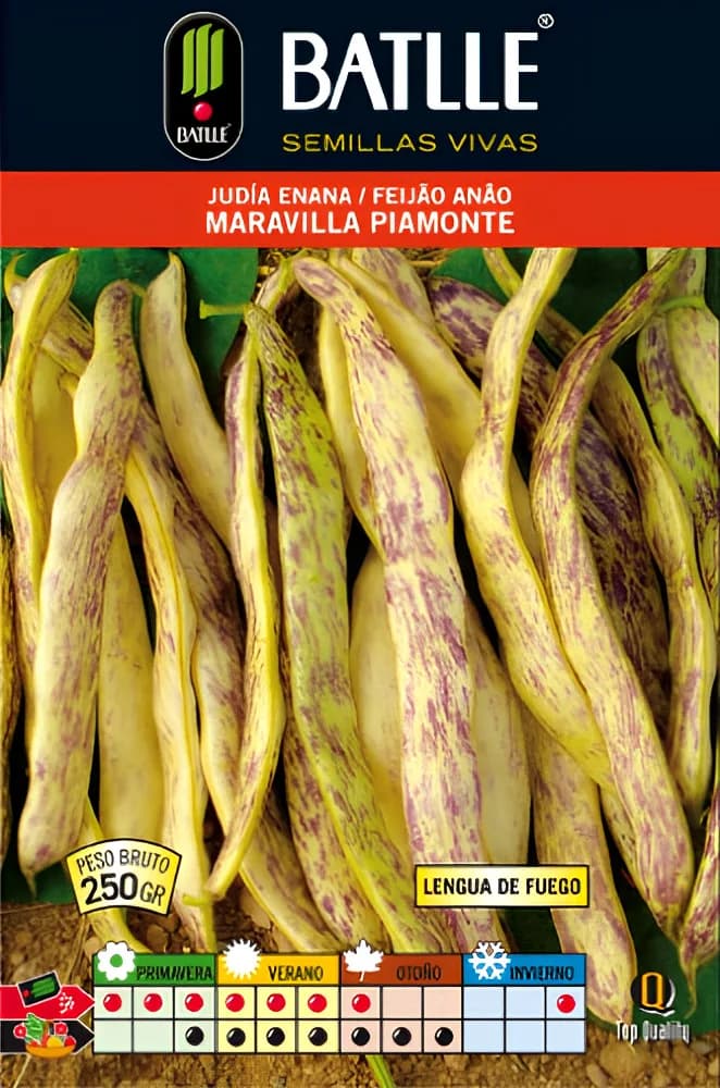 Semilla Judia Maravilla Piamonte 250 Gramos — foto principal