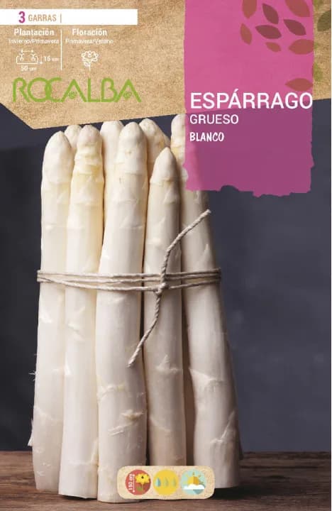Esparragos de Mesa Grueso -blanco- — foto principal