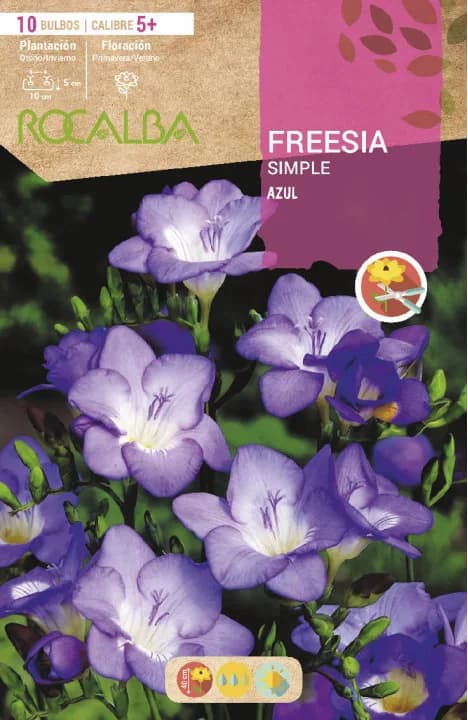 Bulbo Freesias Simples 5+ Azul — foto principal