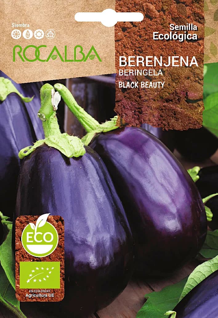 Semilla Ecologica Berenjena Black Beauty — foto principal