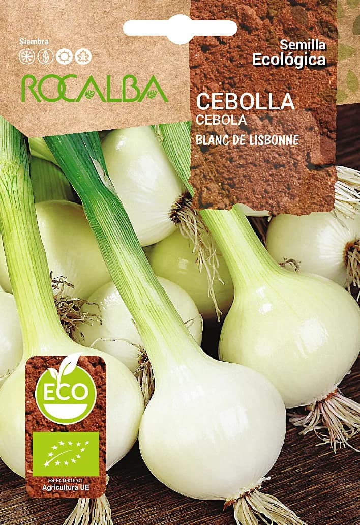 Semilla Ecologica Cebolla Blanc de Lisbone — foto principal