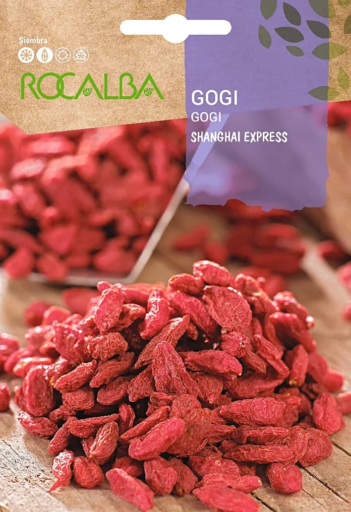 Semilla Gogi Shanghai Express — foto principal