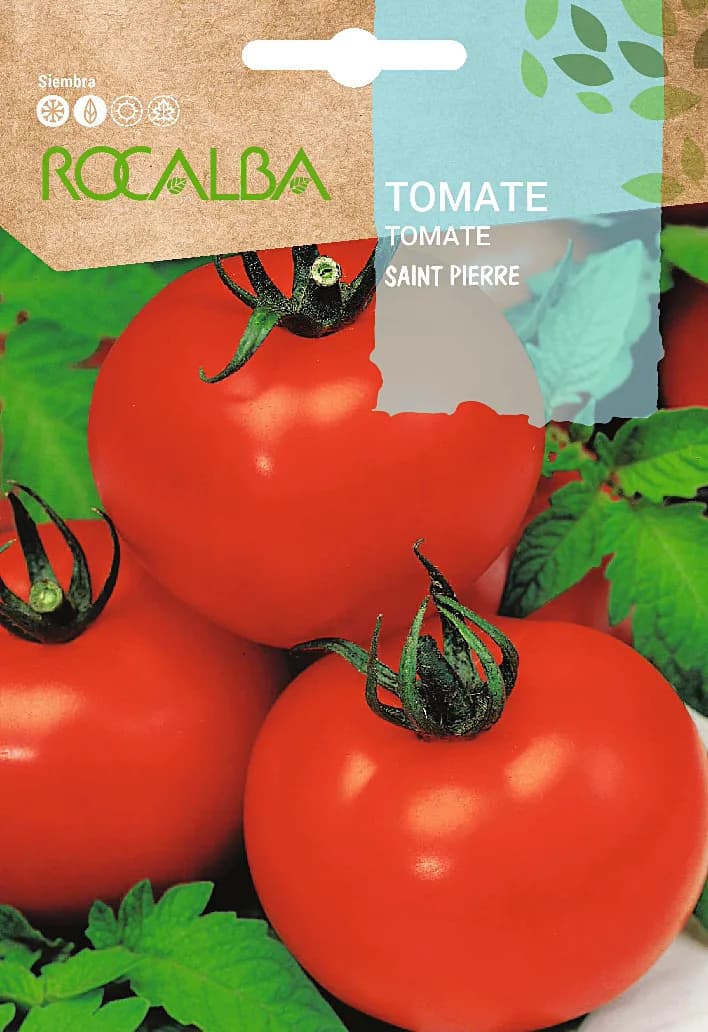 Semila Tomate Saint Pierre — foto principal