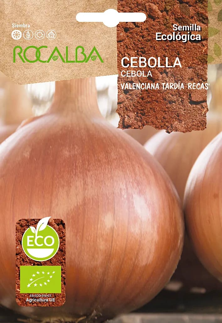 Semilla Ecologica Cebolla Valenciana Tardia "recas" — foto principal