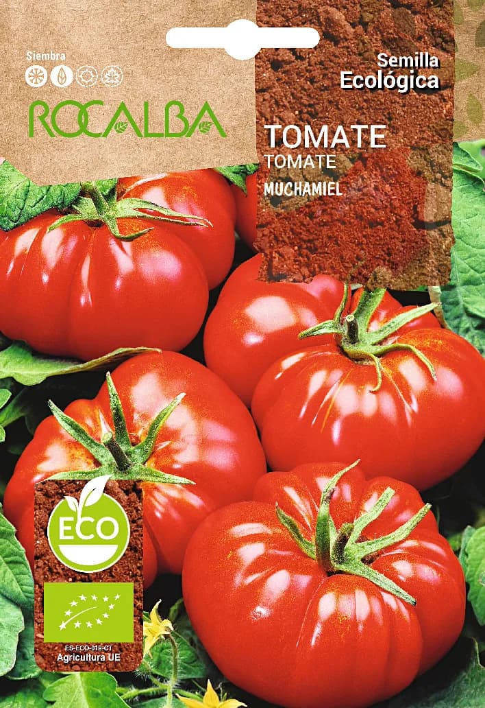 Semilla Ecologica Tomate Muchamiel — foto principal