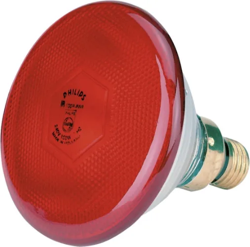 Bombilla Philips Infrarrojos 100w Roja — foto principal