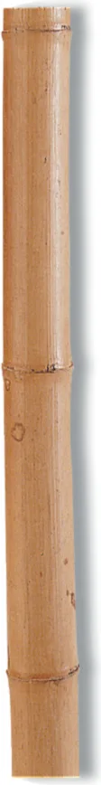 Nortene Bamboo Deco Tutor Bambu Decoracion Ø35-40mmx1,8m — foto principal