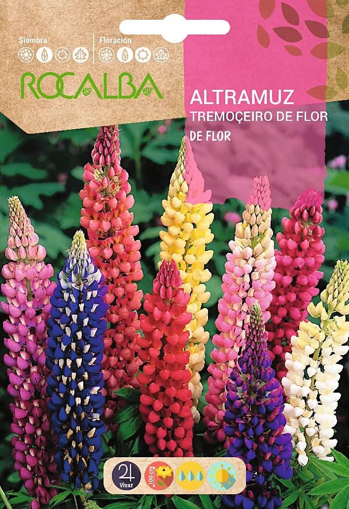 Semilla Altramuz de Flor — foto principal