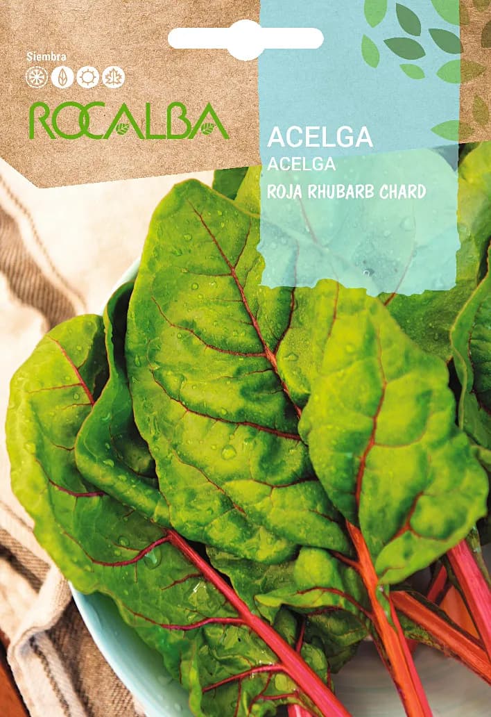 Semilla Acelga Roja Rhubarb Chard — foto principal