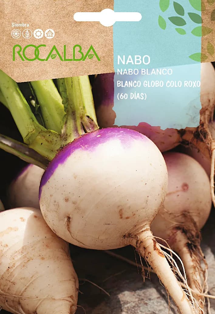 Semilla Nabo Blanco Globo Colo Roxo — foto principal