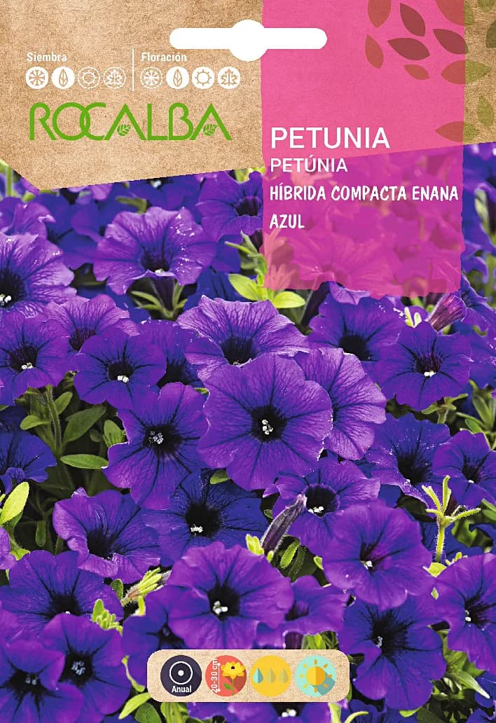 Semilla Petunia Hibrida Compacta Enana, Azul — foto principal