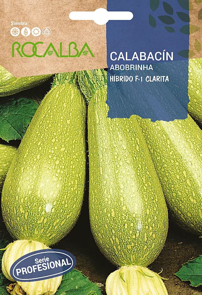 Semilla Profesional Calabacin Clarita F-1 — foto principal
