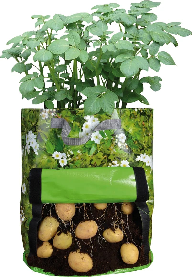Sembradora de Patatas Terraza — foto principal