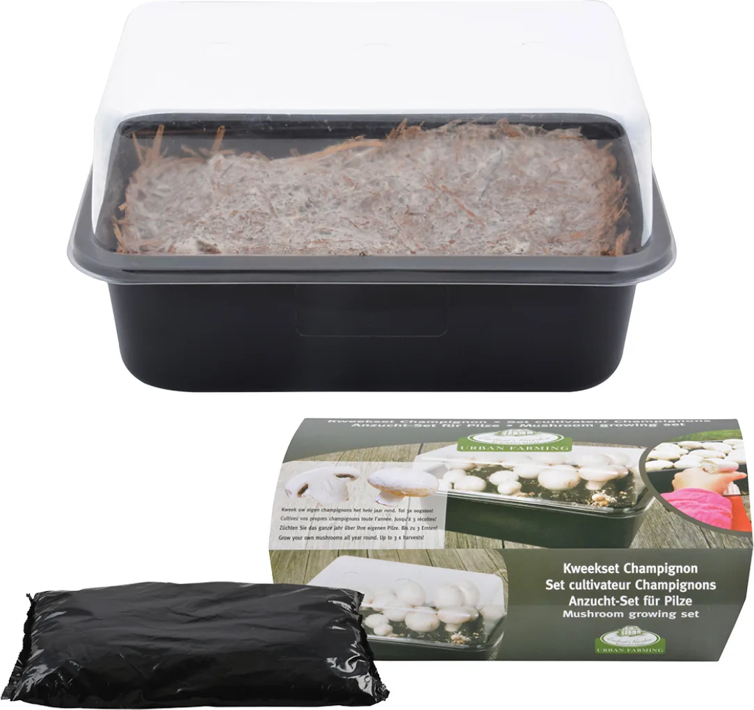 Set de Cultivo de Champiñones — foto principal