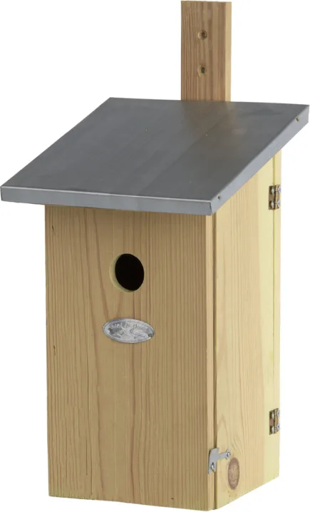 Caja Nido de Observacion — foto principal