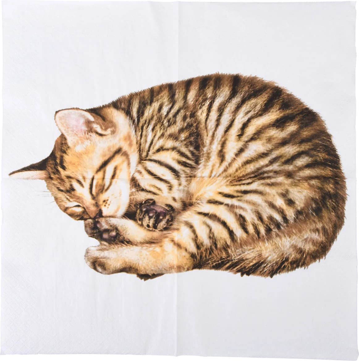 Servilleta Papel Gato 33x33 20 unidades — foto principal