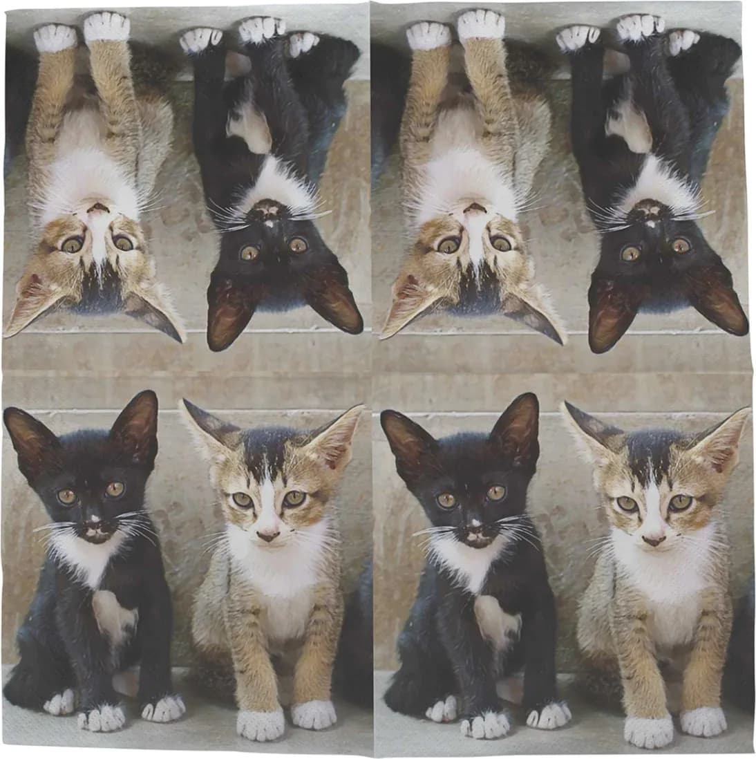 Servilleta Papel Gatitos 33x33 20 unidades — foto principal