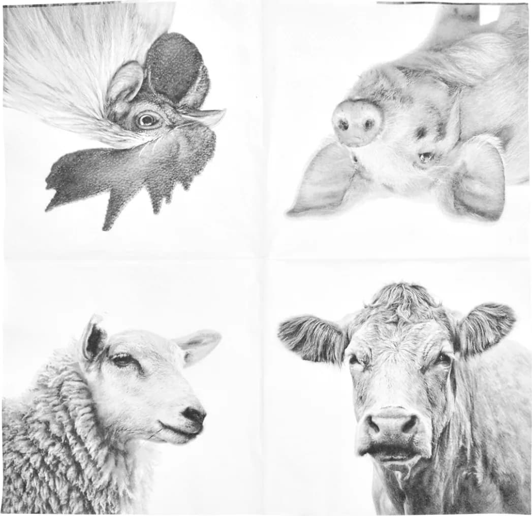 Servilletas de Papel con Animales de Granja Blanco y Negro — foto principal
