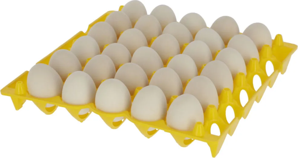 Bandeja Plastica para Huevos 30 Huecos Apilable — foto principal