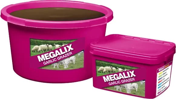 Bloque Repelente Megalix Garlic 20 Kg — foto principal