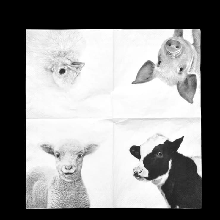 Servilletas de Papel Animales de Granja 25x25 — foto principal