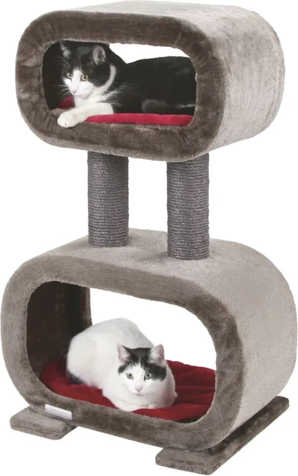 Arbol rascador Gatos Rubin — foto principal