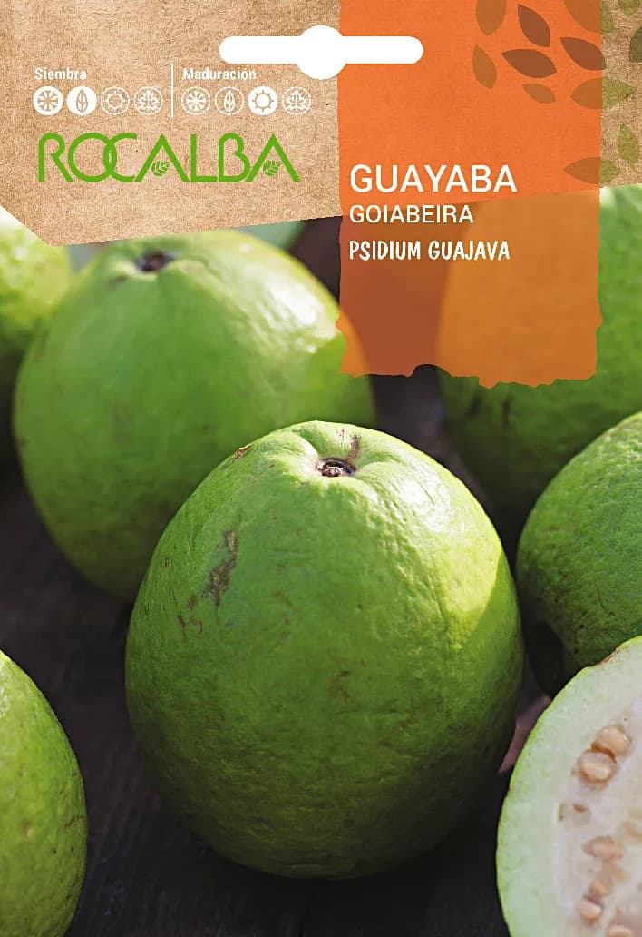 Semilla Guayaba — foto principal