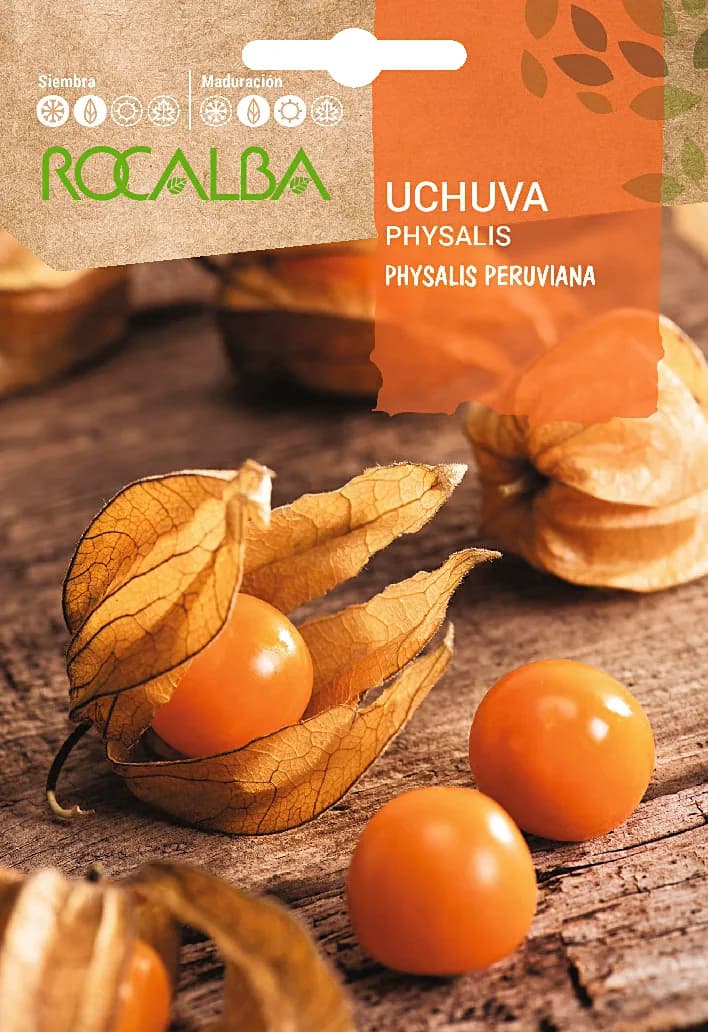 Semilla Uchuva Physalis Peruviana — foto principal
