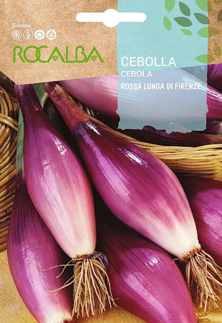 Semilla Cebolla Rossa Lunga di Firenze — foto principal