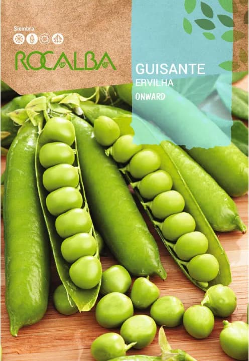 Semilla Guisante Onward 250 gr — foto principal