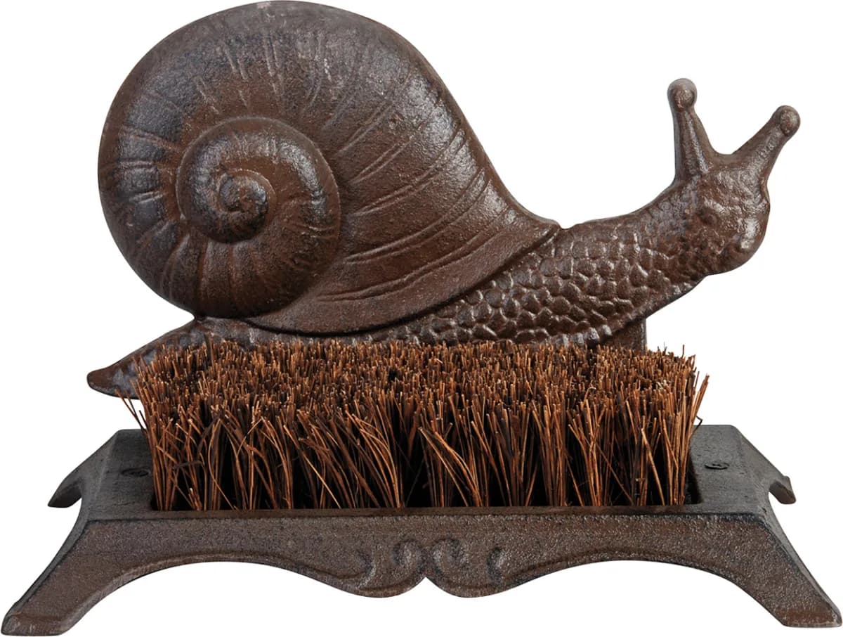 Caracol Limpiabotas — foto principal
