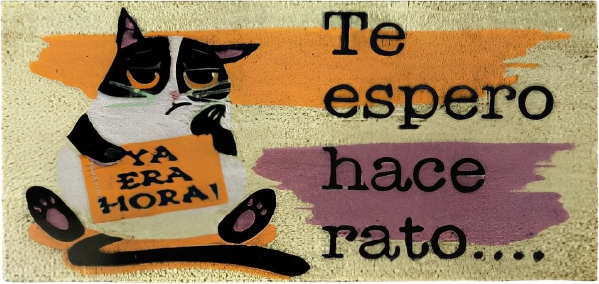 Felpudo Coco 40x70 Te Espero Hace Rato - Gato — foto principal