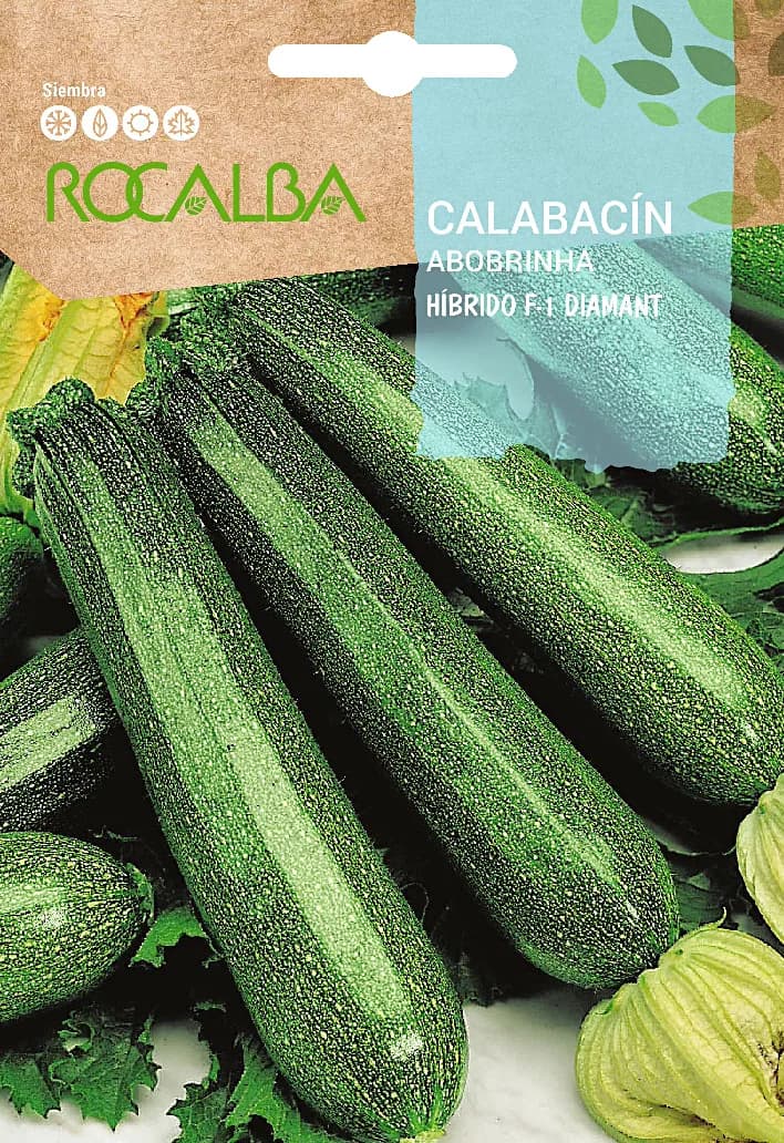 Semilla Calabacin Hibrido F-1 Diamant — foto principal