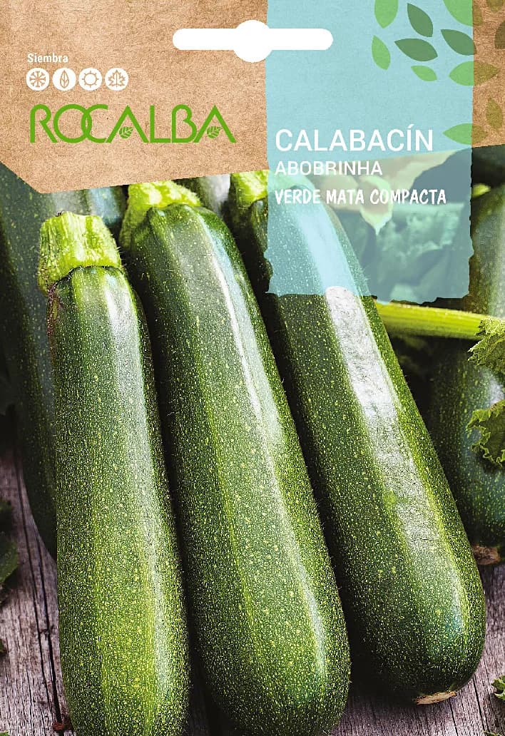 Semilla Calabacin Verde mata compacta — foto principal