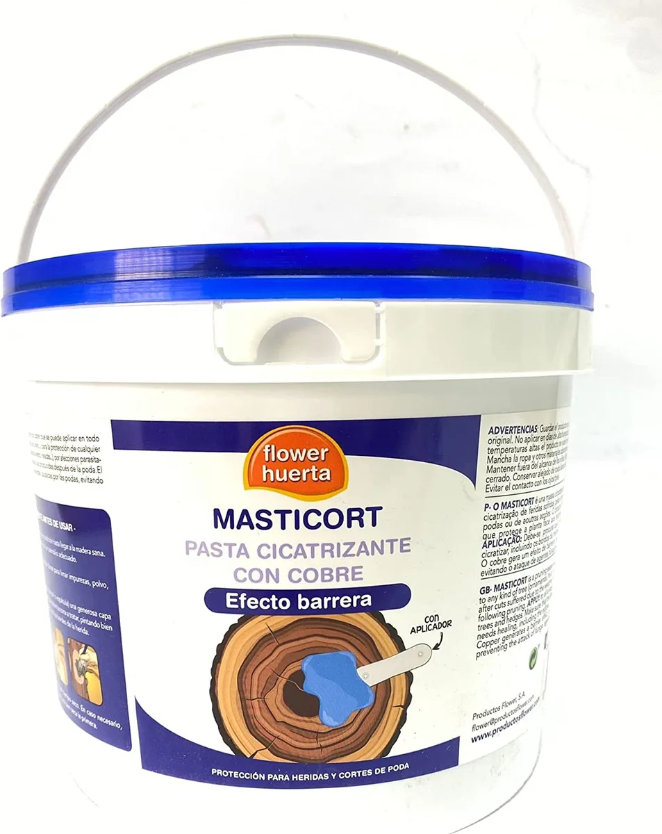 Pasta Cicatrizante Masticort con Cobre 1 Kg — foto principal