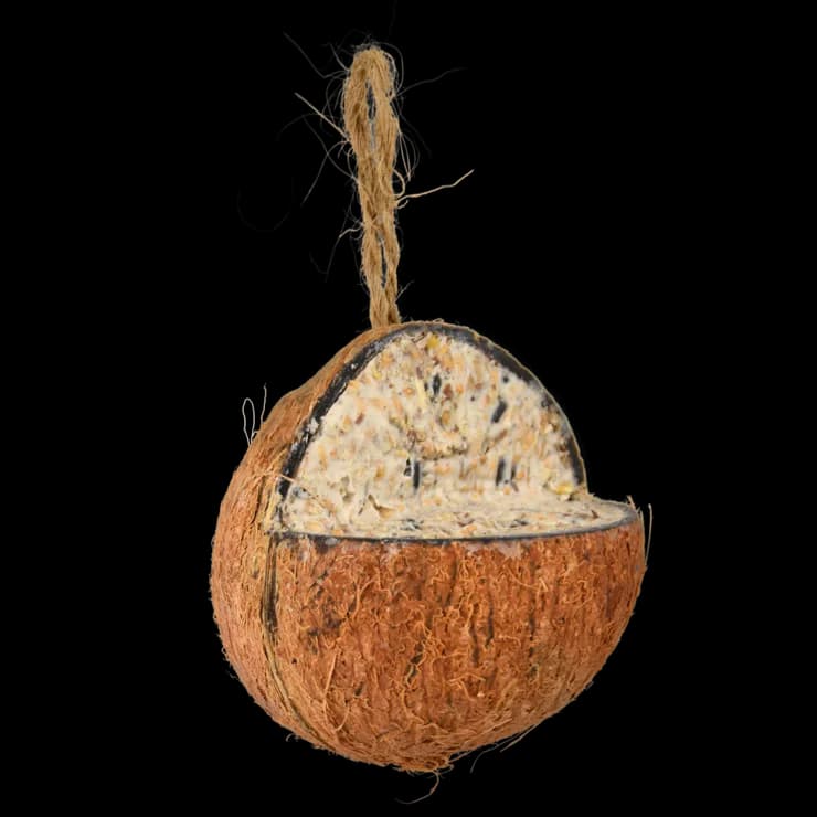 Coco Relleno — foto principal