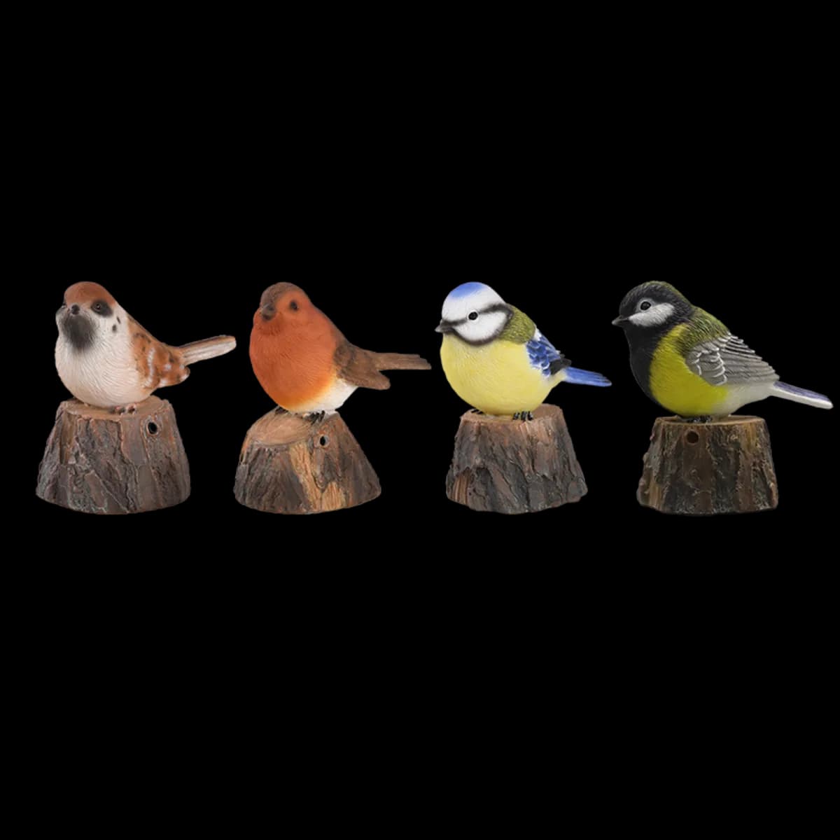 Pajaro de Bienvenida Cantarin — foto principal