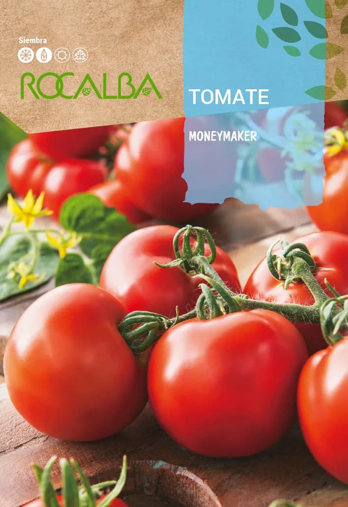 Semilla Tomate Moneymaker — foto principal