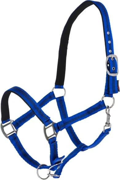 Cabezada Caballo Mustang Regulable Azul/Negro Talla Full — foto principal