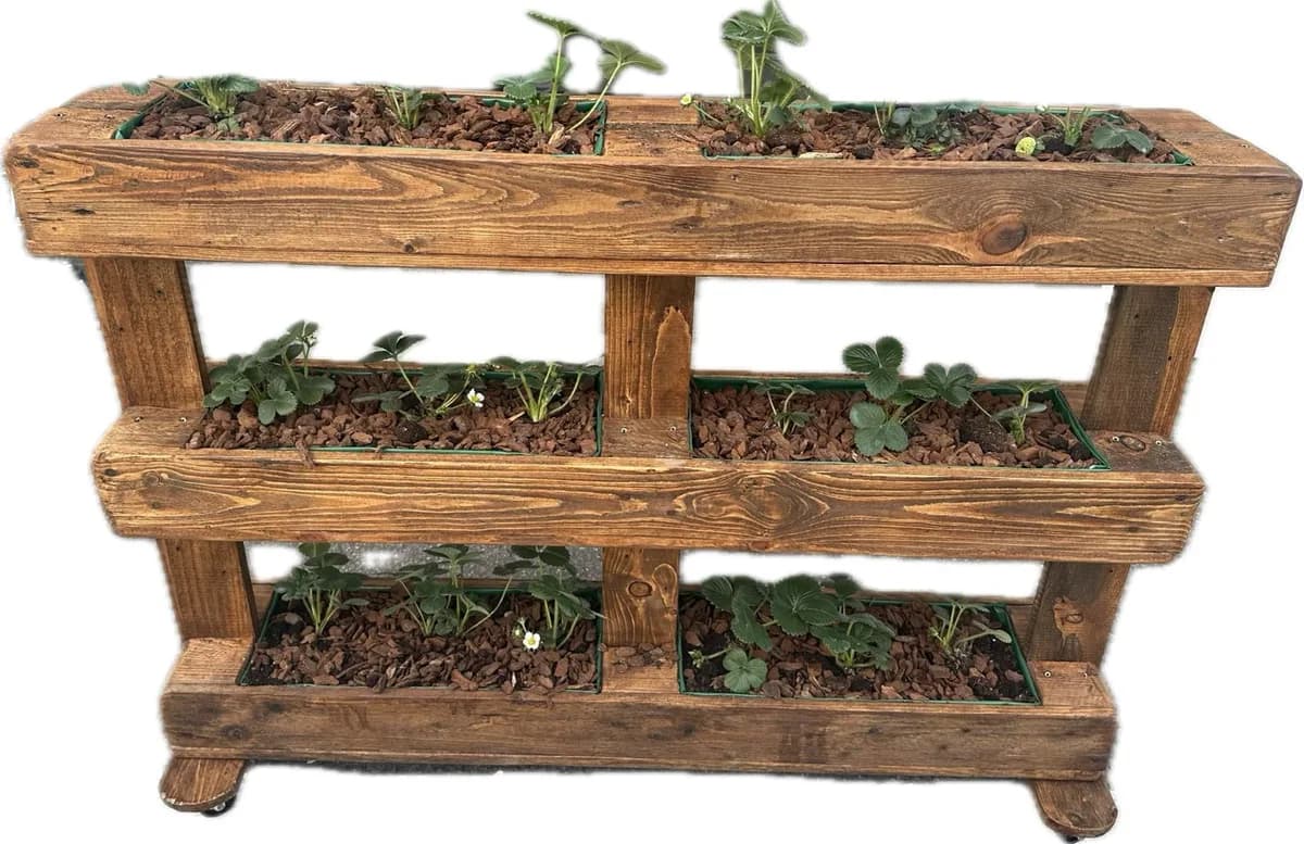 Palet Macetero Rústico con fresas Artesanal — foto principal