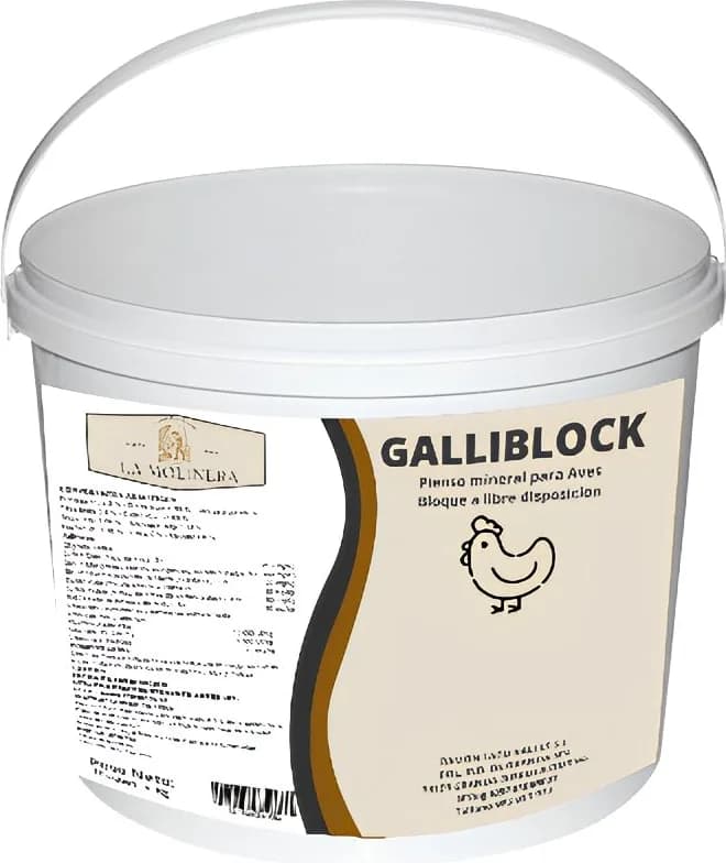 Bloque Mineral Gallinas GalliBlock 4 kg — foto principal