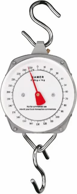 Bascula Reloj Kamer 250 Kg — foto principal