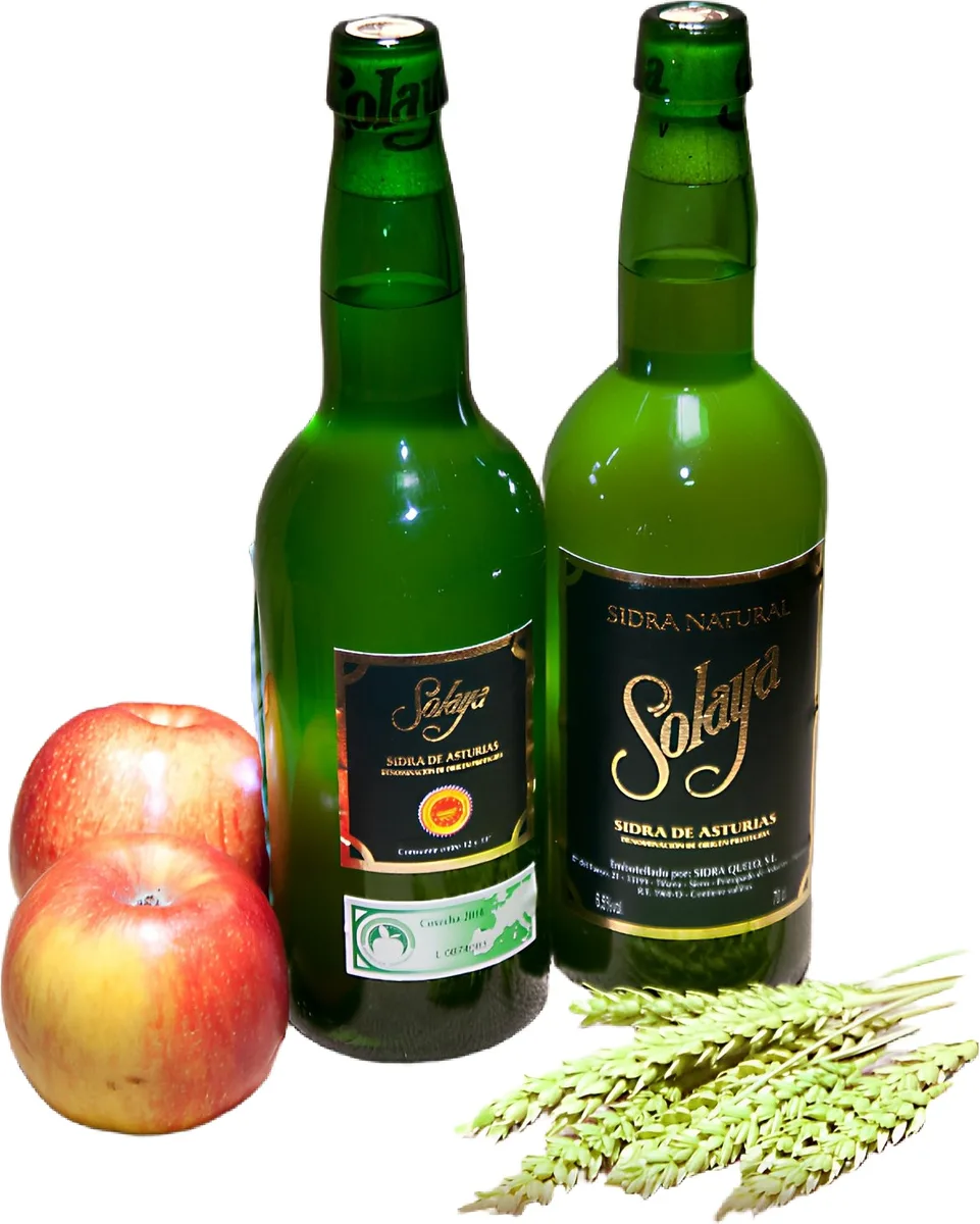 Sidra Solaya Caja Plastico 12 Unidades (Entrega Botella Vacia) — foto principal