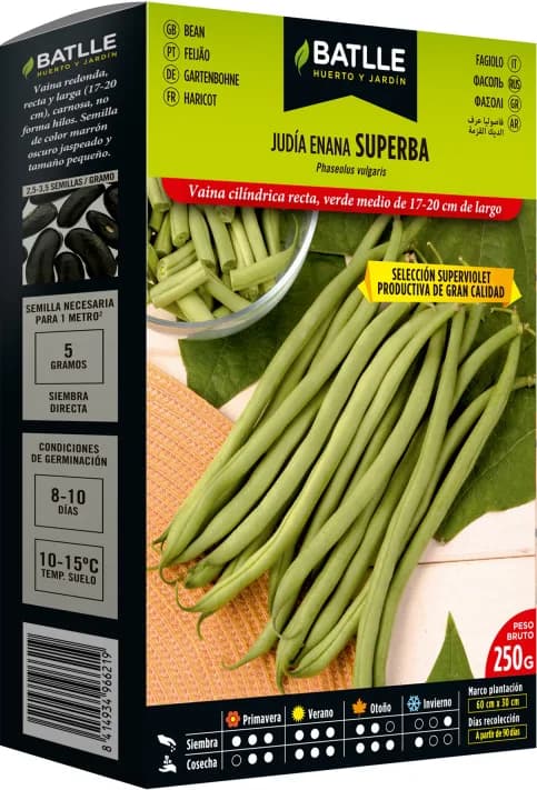 Judia Superba Superviolet 250 gr — foto principal