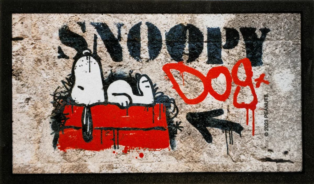 Felpudo Goma Peanuts Grafiti Dog 40x68 — foto principal
