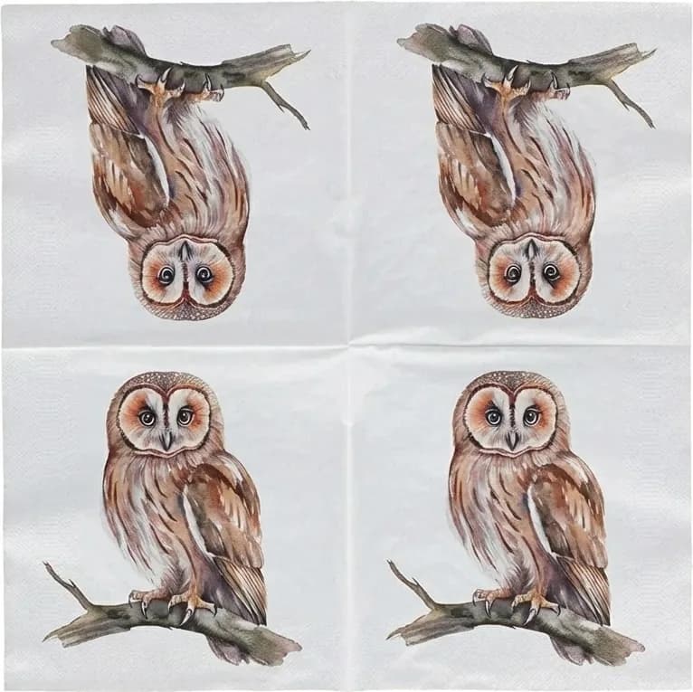 Servilletas Papel Buho 33x33 cm — foto principal