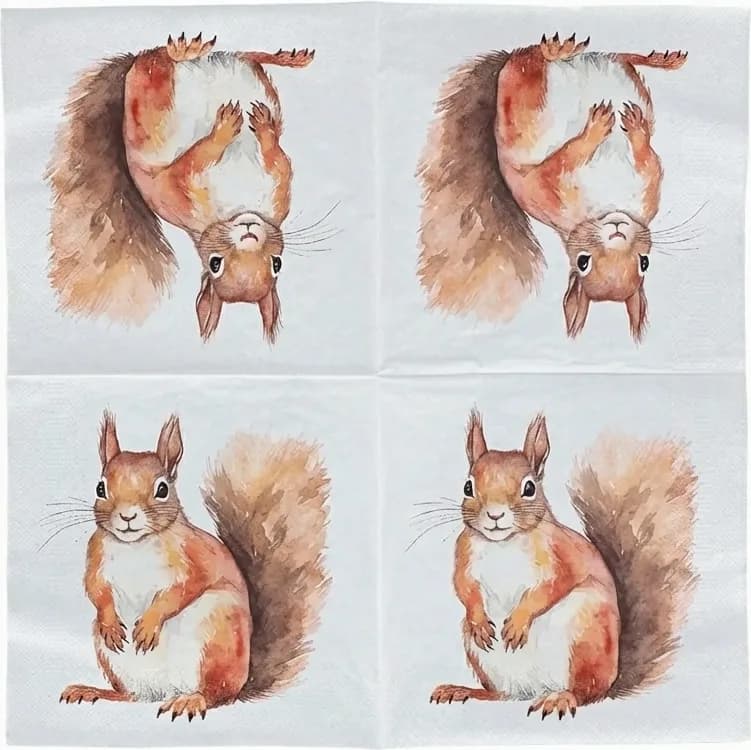 Servilletas Papel Ardilla 33x33cm 20 uds — foto principal