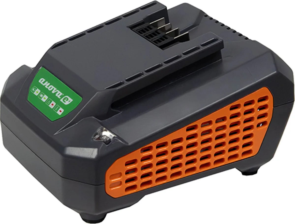 Cargador Anova E60CH25 60 V · 2,5 A — foto principal