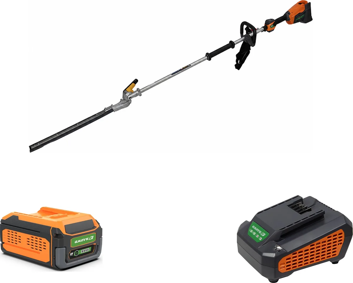 Pack cortasetos a batería de pértiga Anova E60PH 60 V + 1 batería de 8 Ah + cargador E60CH25 2,5 A — foto principal