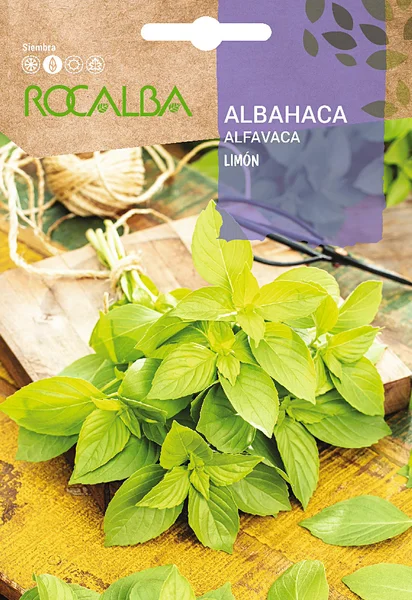 Semilla Albahaca Limon